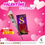 Cadbury Silk Heart Blush (Blue) Valentine Special Pack