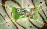 Moments Chocostick Pistachio 20G - Image 2